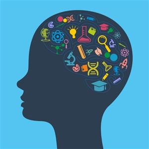 Science Fair 